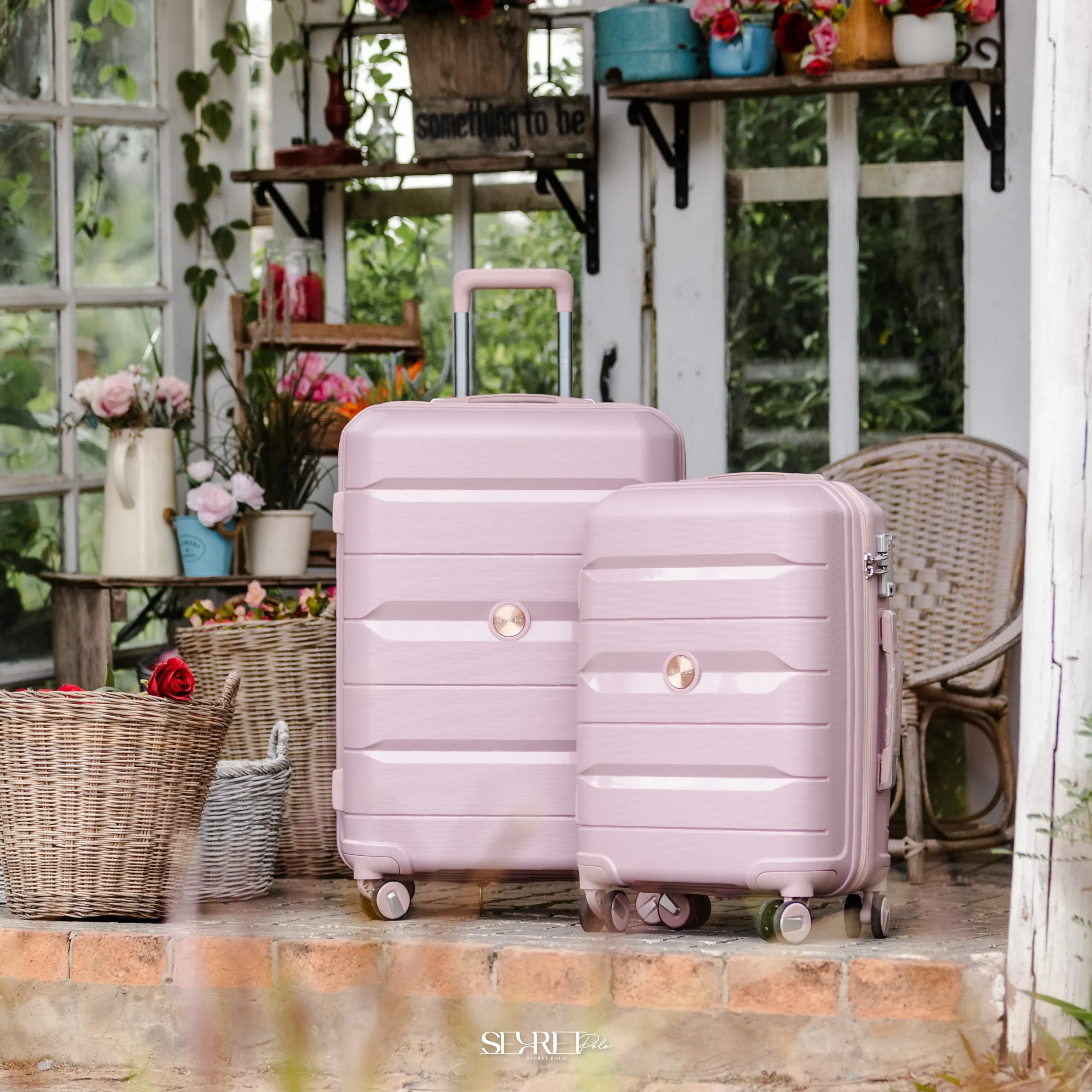 Classie Collection - Image 6